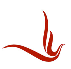 design icon
